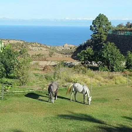 Nyaraló Finca Palmeras - #131085 La Guancha